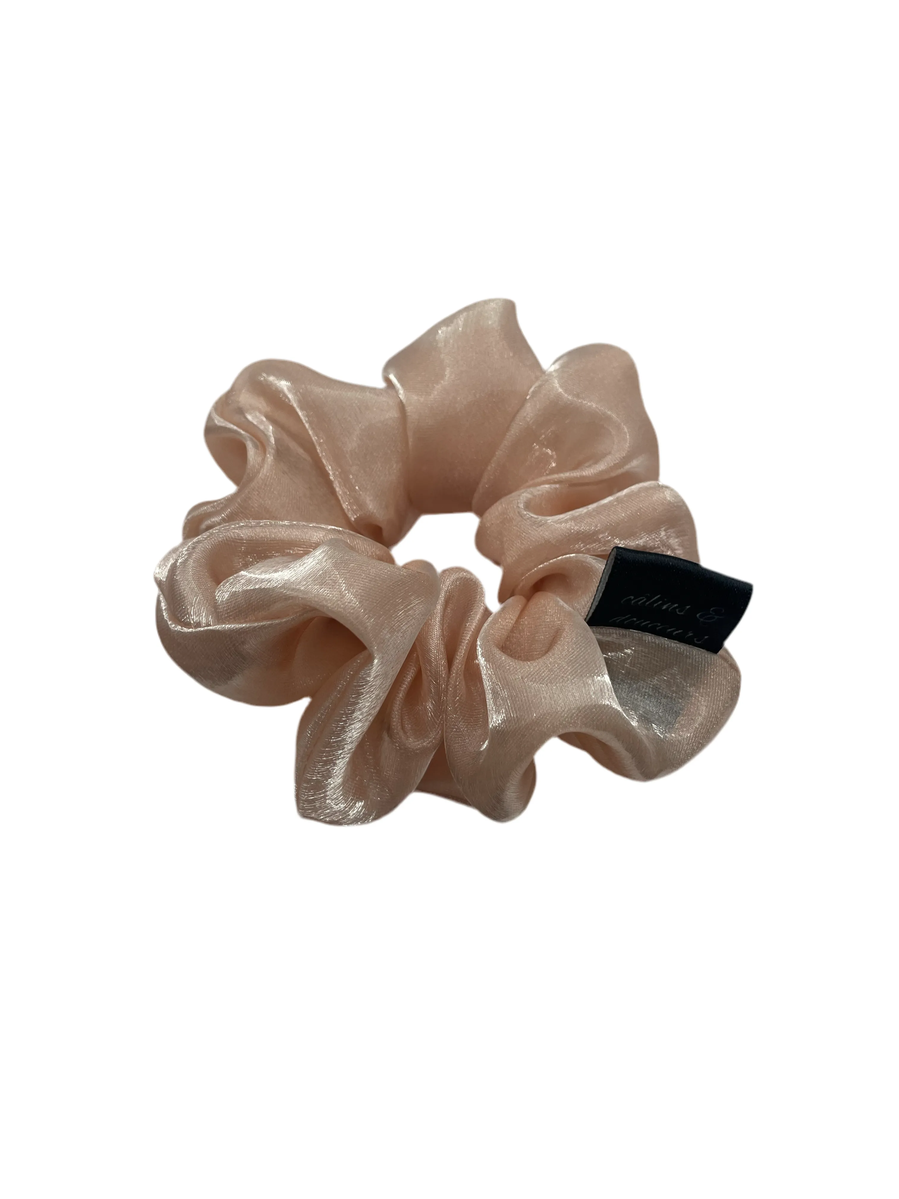Iridescent Organza