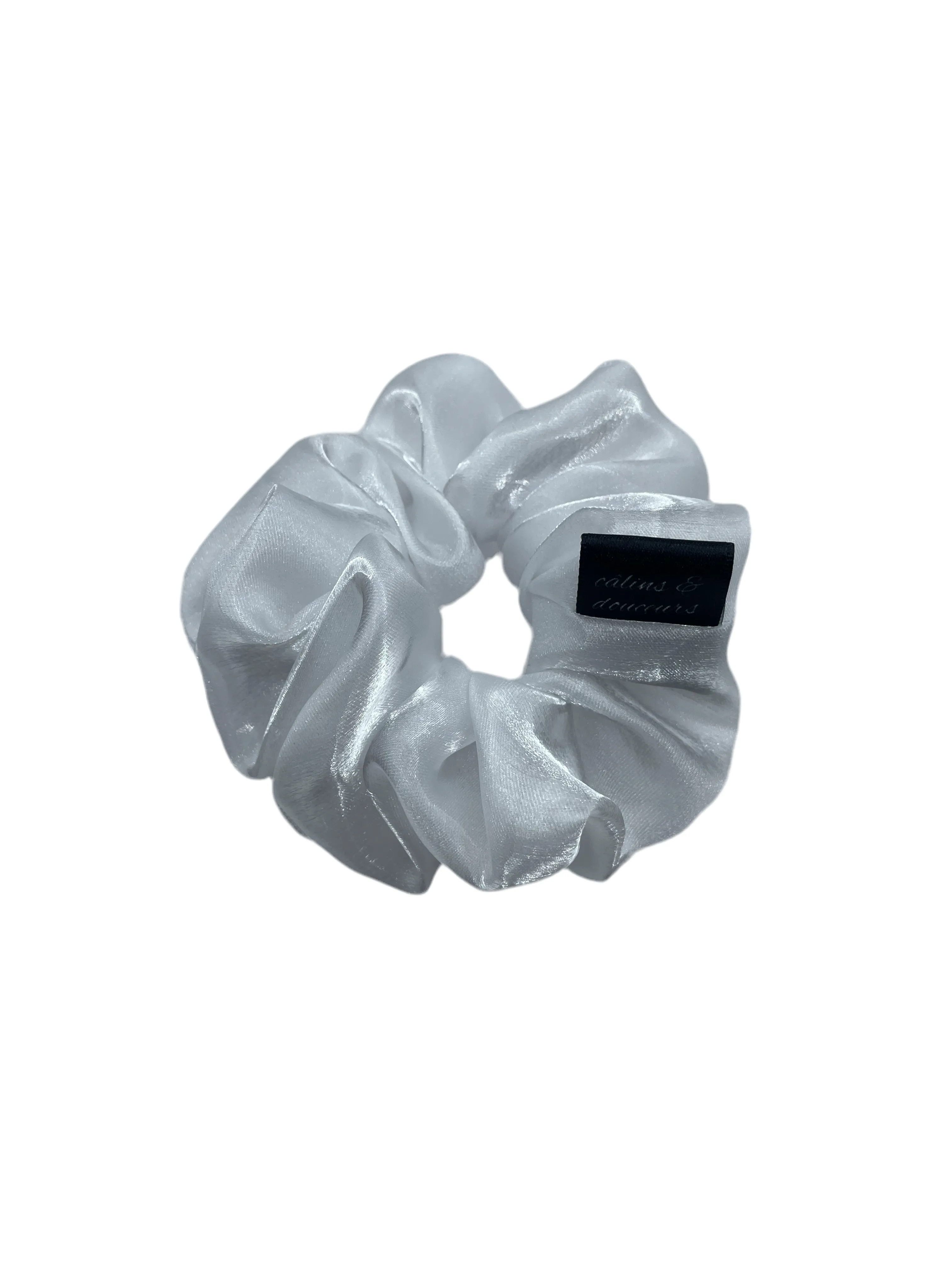 Iridescent Organza